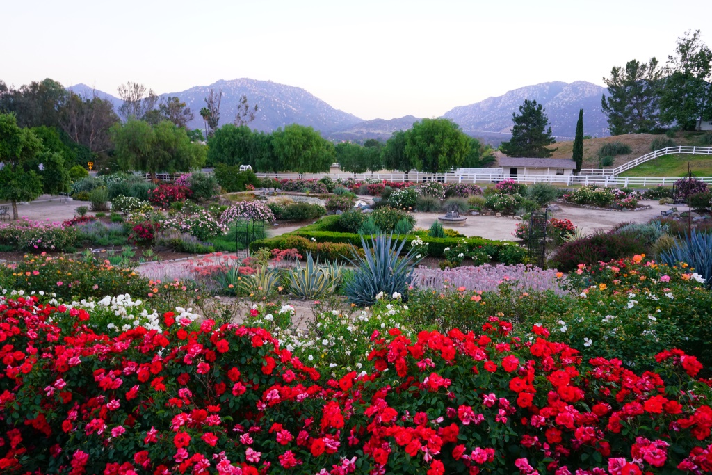 Visit Temecula Valley Announces Hidden Gems for Visitors to Discover